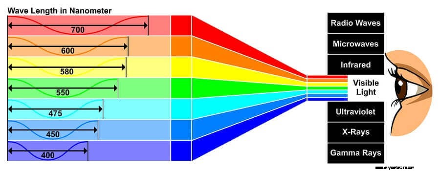 Understanding Circadian Rhythm: Laws for Better Sleep & Health