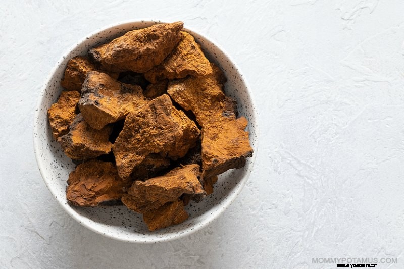 Chaga Mushrooms: 6 Science-Backed Health Benefits