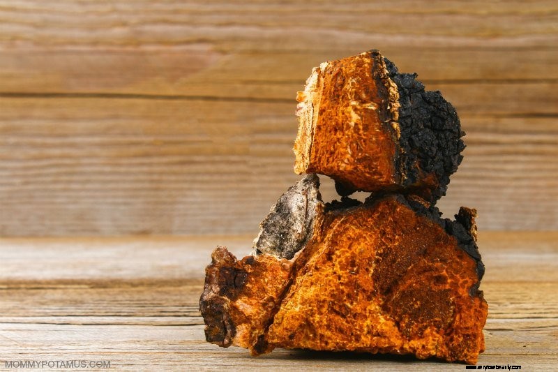 Chaga Mushrooms: 6 Science-Backed Health Benefits