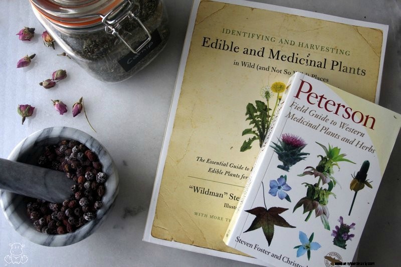 Home Apothecary: 16 Essential Herb Books for Natural Wellness