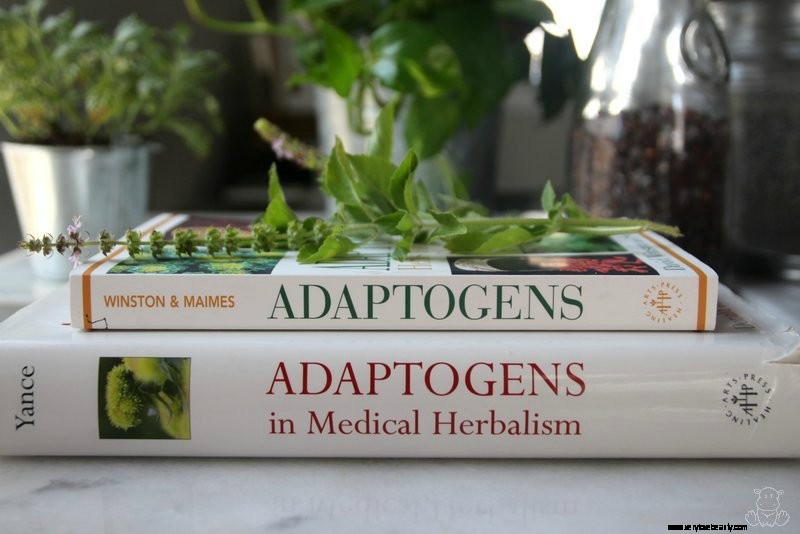 Home Apothecary: 16 Essential Herb Books for Natural Wellness