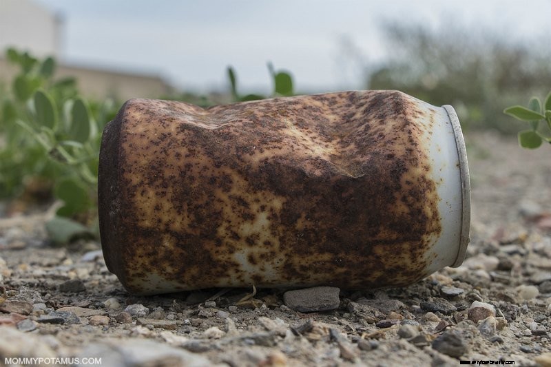 Baobab Fruit Powder: Benefits, Uses & Nutritional Powerhouse