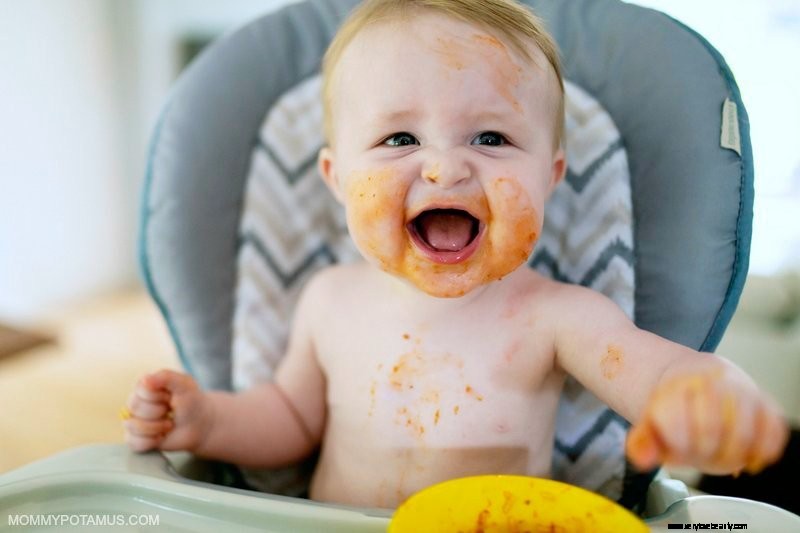 First Foods for Baby: A Comprehensive Guide & Safety Tips
