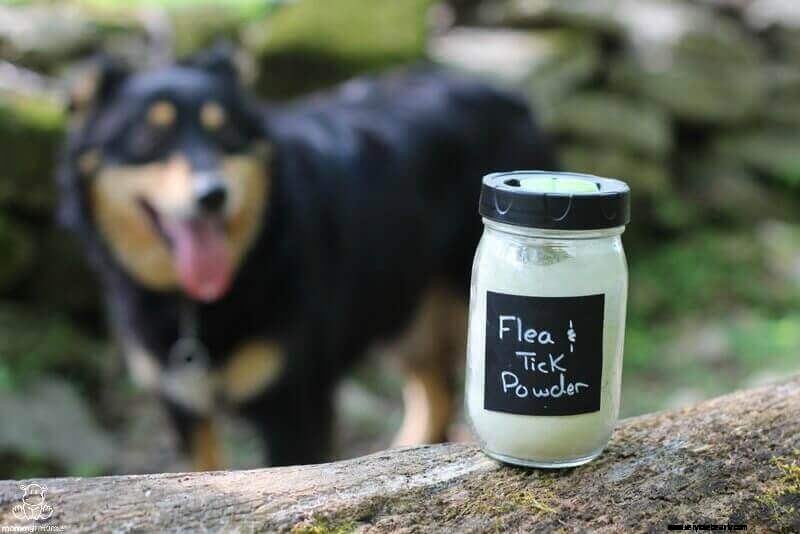 Food Grade Diatomaceous Earth: 18 Surprising Uses