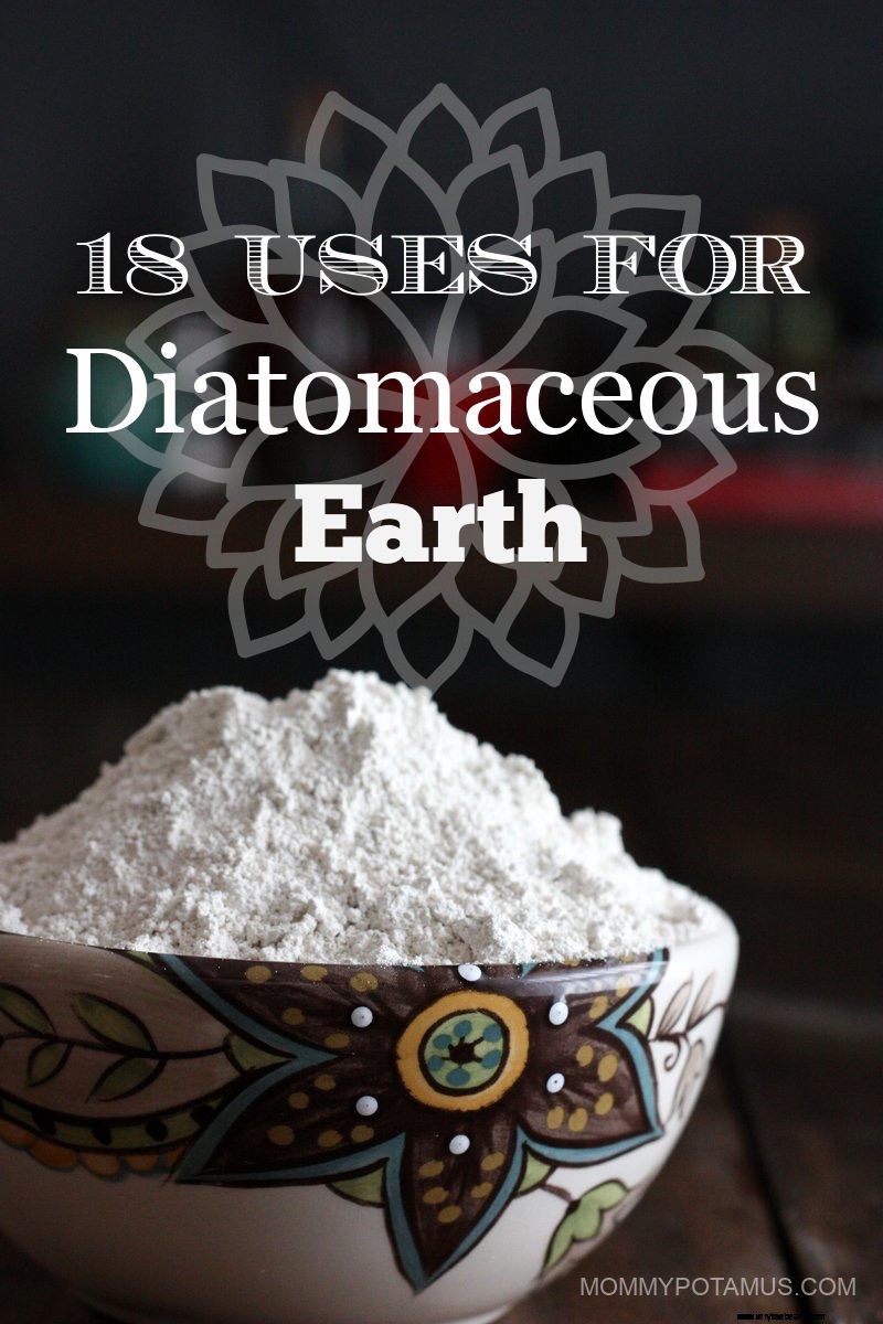 Food Grade Diatomaceous Earth: 18 Surprising Uses