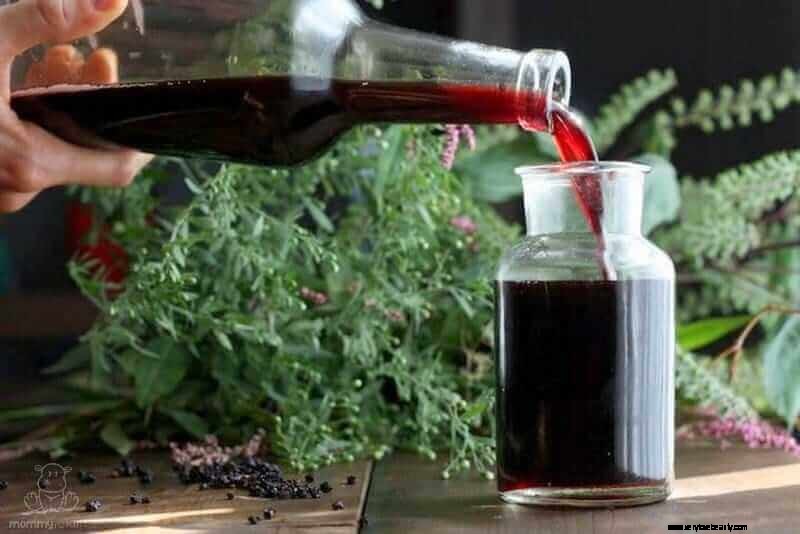 Elderberry and Cytokine Storms: A Safety Review