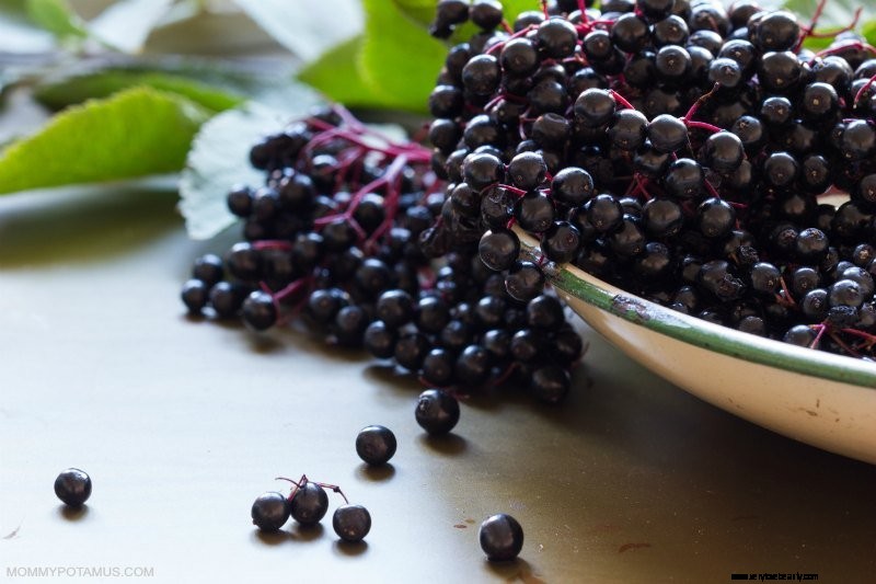 Elderberry and Cytokine Storms: A Safety Review