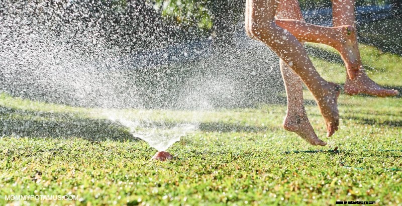 Sunlight & Health: 11 Proven Benefits & FAQs