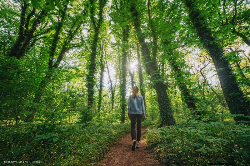 Unlock Wellness: 9 Proven Benefits of Forest Bathing