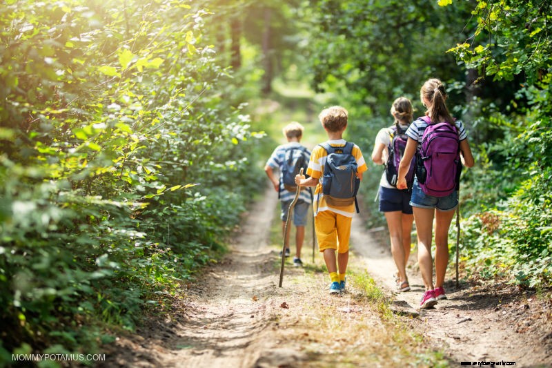 Unlock Wellness: 9 Proven Benefits of Forest Bathing