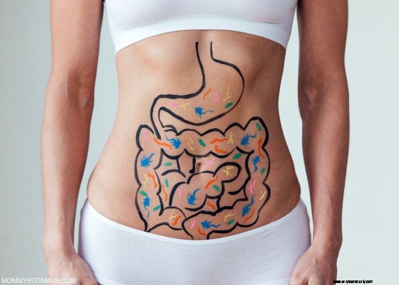 The Power of Probiotics: 5 Benefits for Your Health