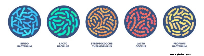 The Power of Probiotics: 5 Benefits for Your Health