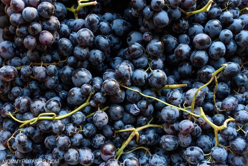 Understanding Natural Wine: A Guide to Choosing & Enjoying