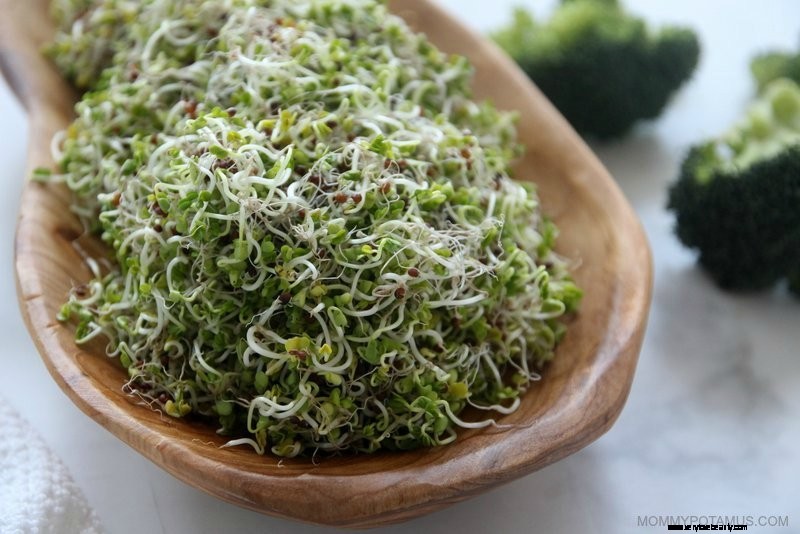 Sulforaphane: 4 Powerful Health Benefits & How to Eat More