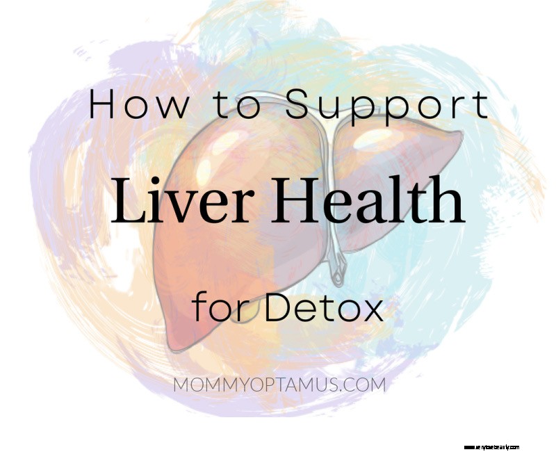 Support Liver Detoxification: Essential Strategies for Optimal Health