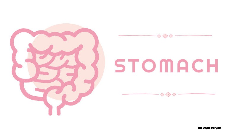 Understanding Natural Detoxification Methods: Sauna, Herbs & Vibration