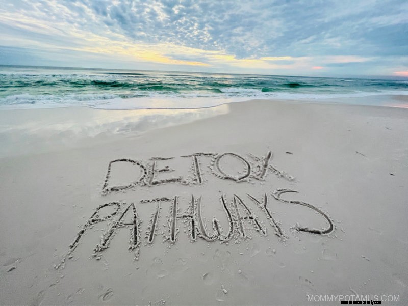 Understanding Natural Detoxification Methods: Sauna, Herbs & Vibration