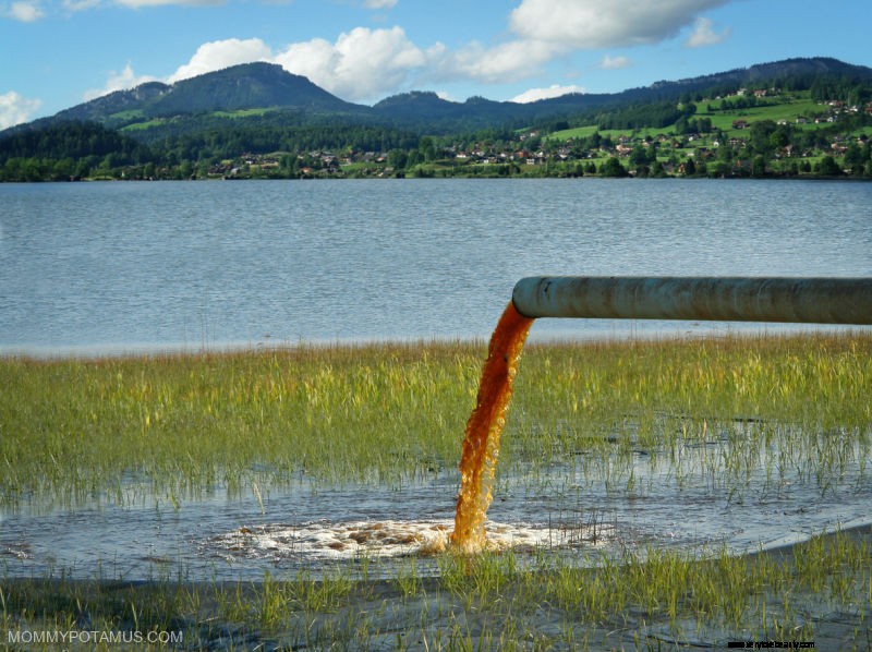 Understanding and Managing Your Environmental Exposure: What You Need to Know
