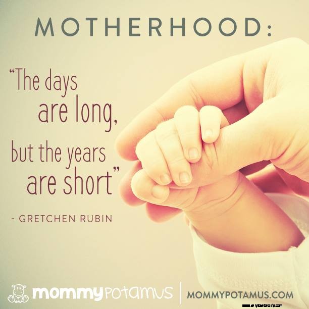 Humorous & Heartfelt Motherhood Quotes - Embrace the Chaos