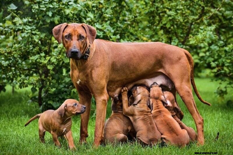 Embracing Unconventional Motherhood: Celebrating Unique Parenting Styles