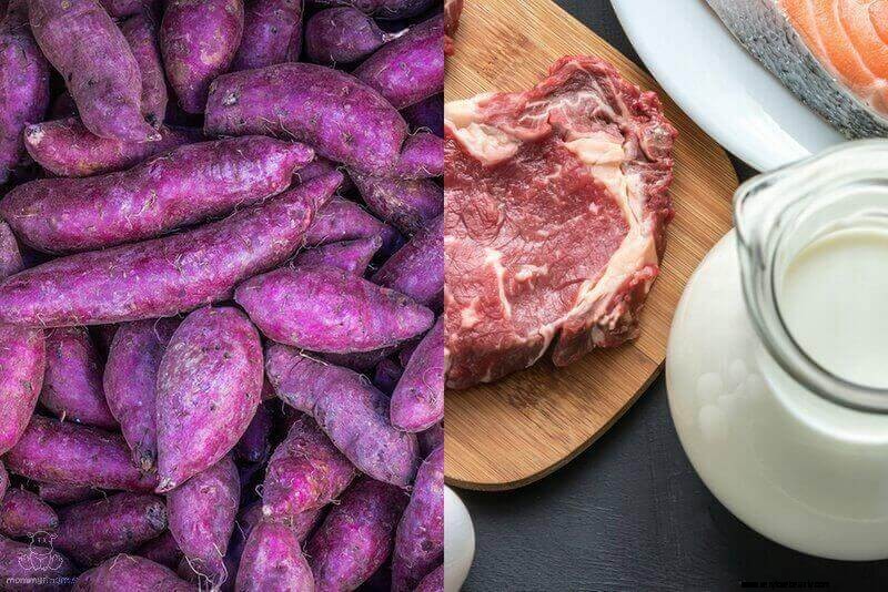 Pregnancy Nutrition: A Guide to Healthy Eating During Pregnancy