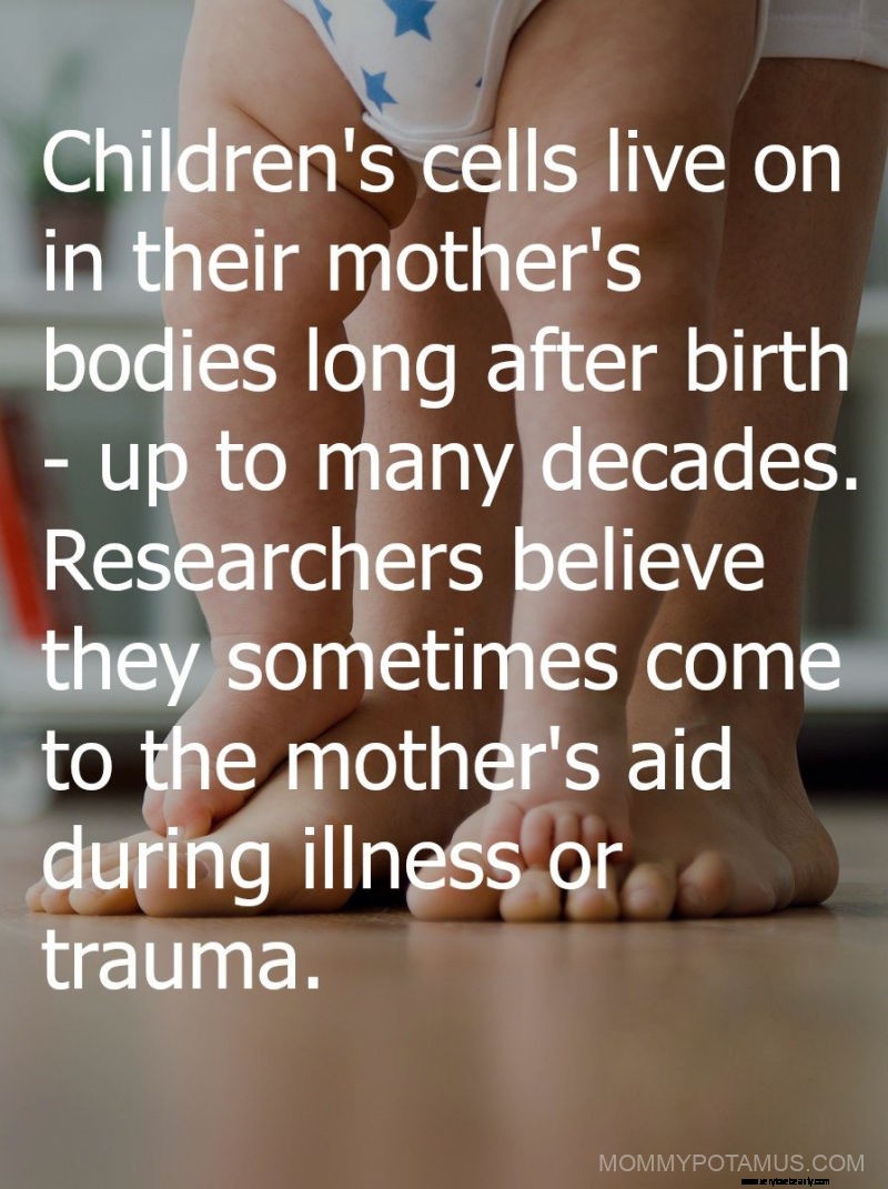 Authentic Motherhood: Surprising Insights & Realities