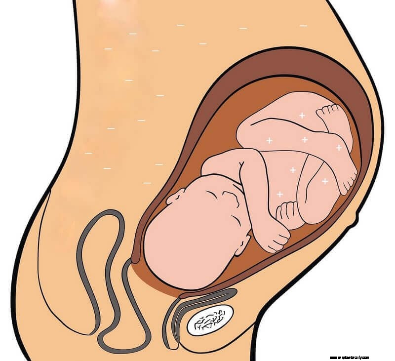 RhoGAM Injections: Understanding Rh Incompatibility and Protection During Pregnancy