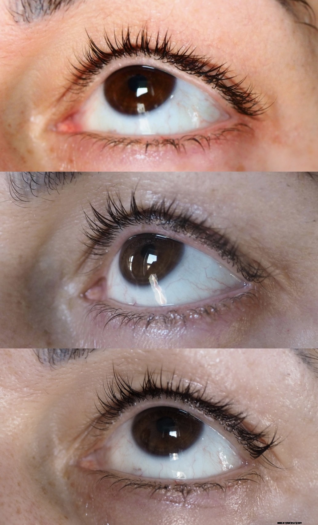 The Ordinary Lash & Brow Serum Review: Results, Ingredients & Benefits