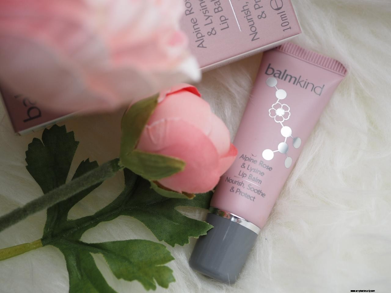 Balmkind Alpine Rose & Lysine Lip Balm Review: Hydration & Protection