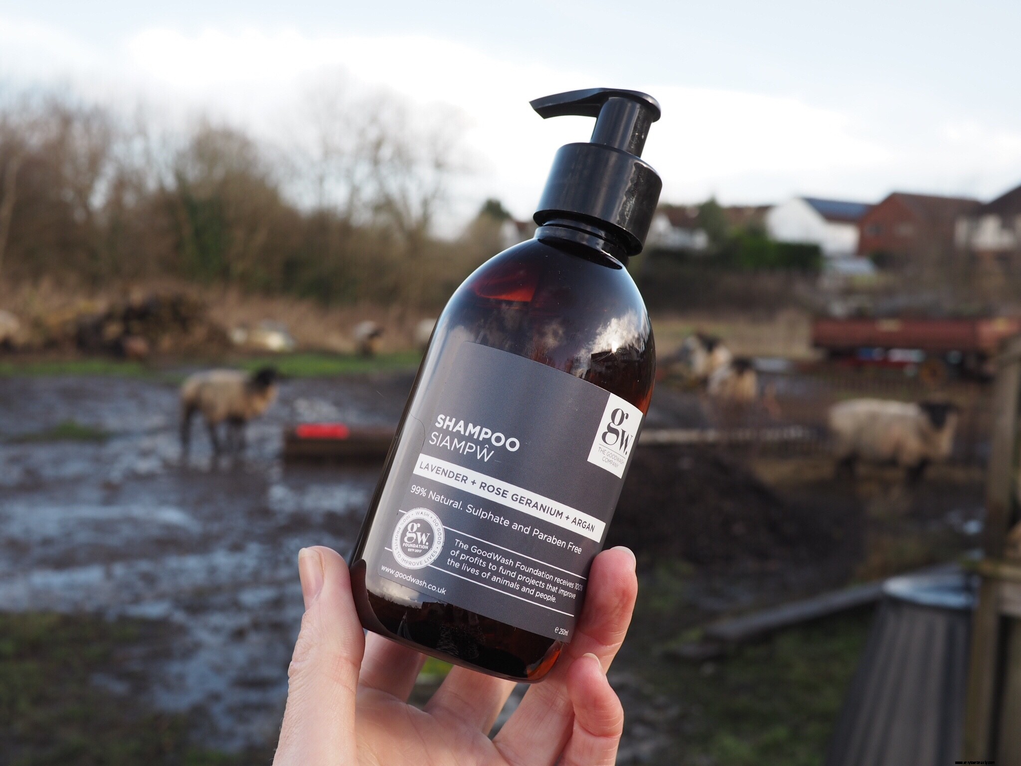 The Good Wash Company: Eco-Friendly Cleaning with a Purpose