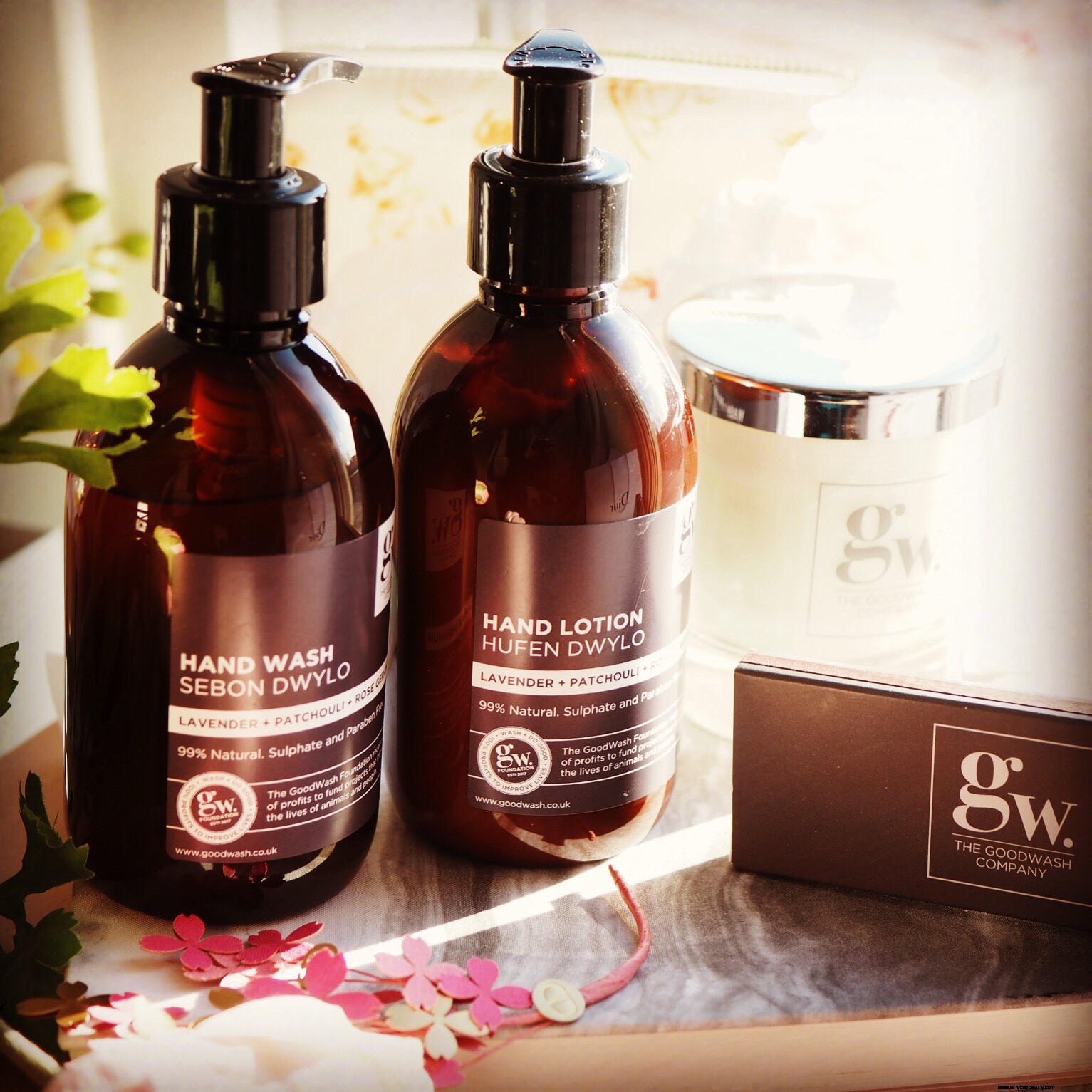 The Good Wash Company: Eco-Friendly Cleaning with a Purpose