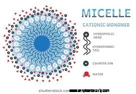 Understanding Skin pH: A Comprehensive Guide