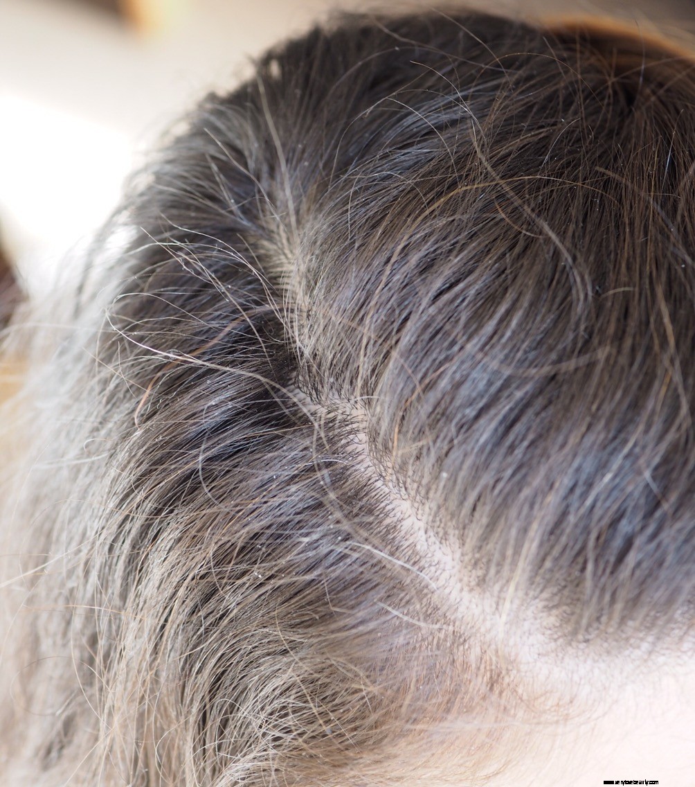 No-Poo Transition: A Guide for Curly & Wavy Hair