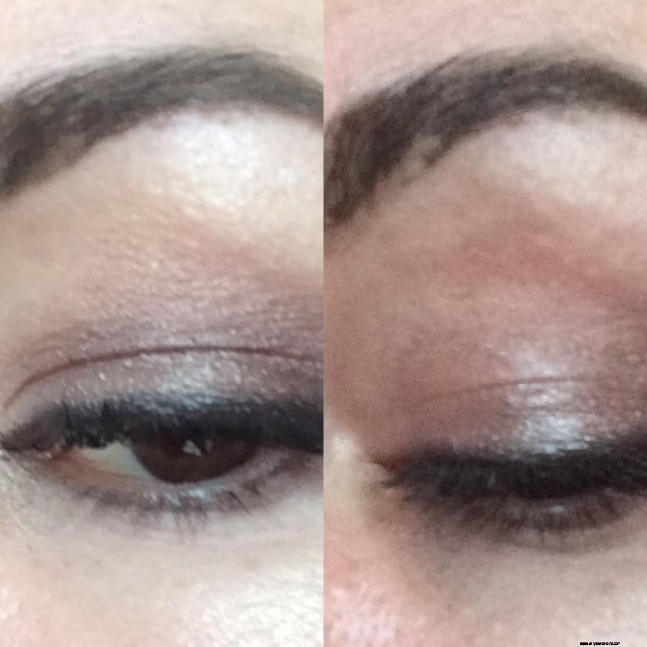 Freedom Makeup Dreamcatcher Pro12 Palette Review: Is it Worth the Hype?