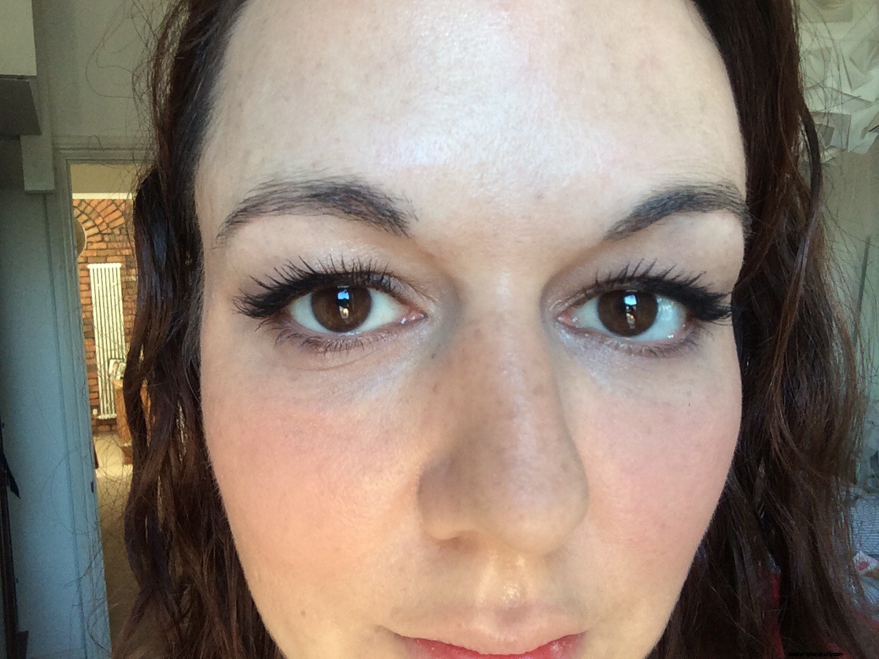 Eyebrow Regrowth Journey: 8 Months of Recovery & Progress