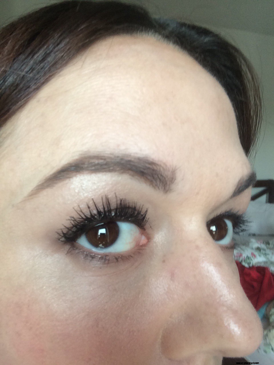 Eyebrow Regrowth Journey: 8 Months of Recovery & Progress