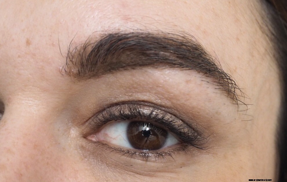 Wunderbrow 2 Review: Is This Semi-Permanent Brow Gel Worth It?