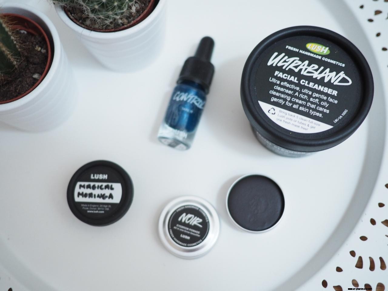 Lush Cosmetics Review 2017: Vegan & Cruelty-Free Makeup - Top Picks