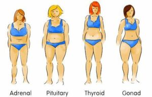 Body Types & Fitness: Personalized Diet & Exercise Strategies