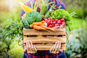 Body Types & Fitness: Personalized Diet & Exercise Strategies