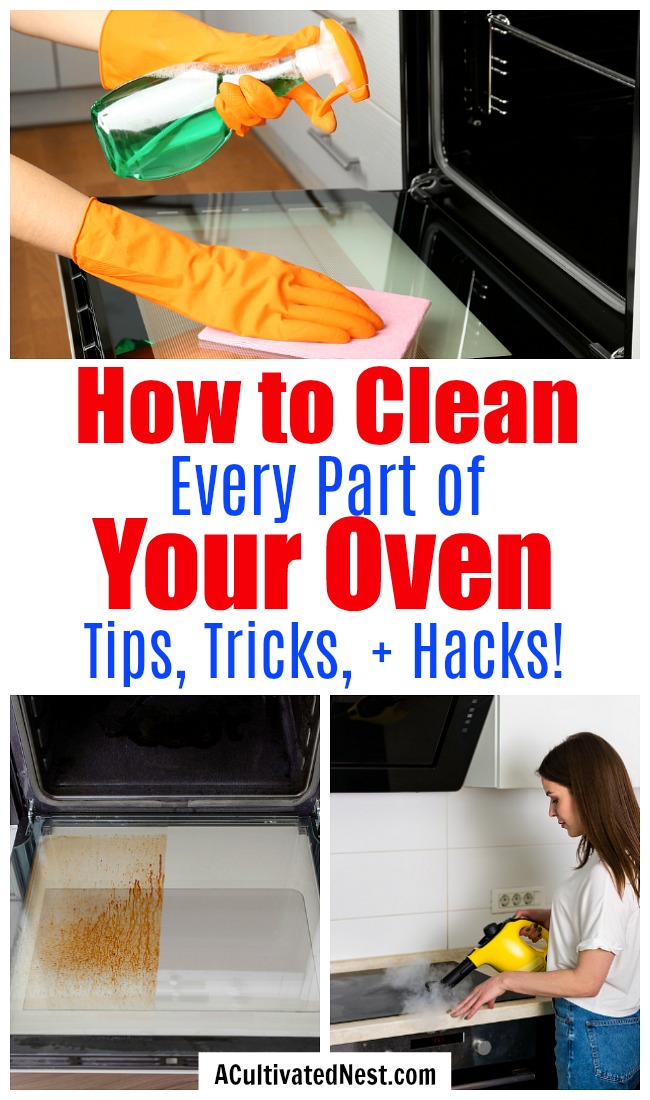 Hidden Kitchen Appliance Cleaning: 10 Deep Cleaning Tips
