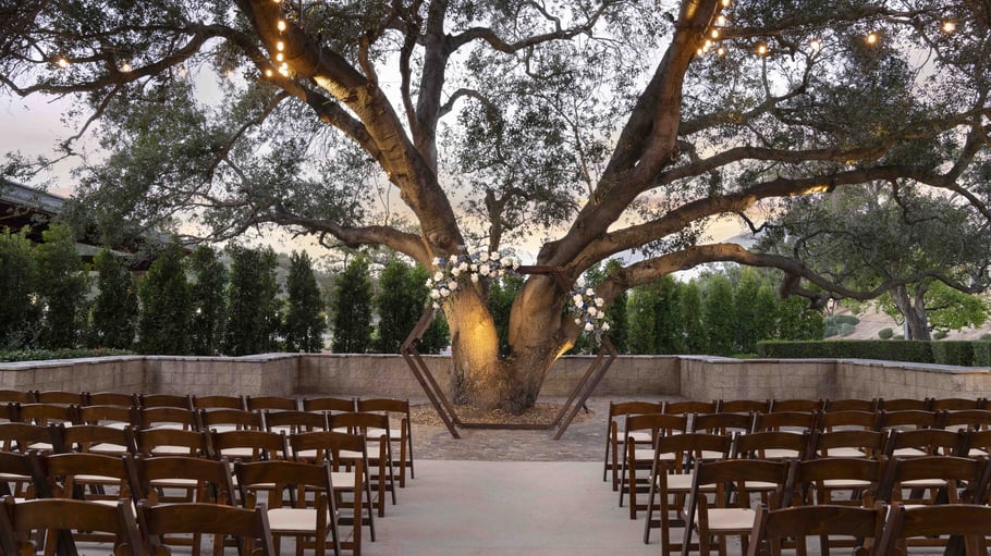 Sustainable Wedding Planning: Eco-Friendly Tips for Modern Couples