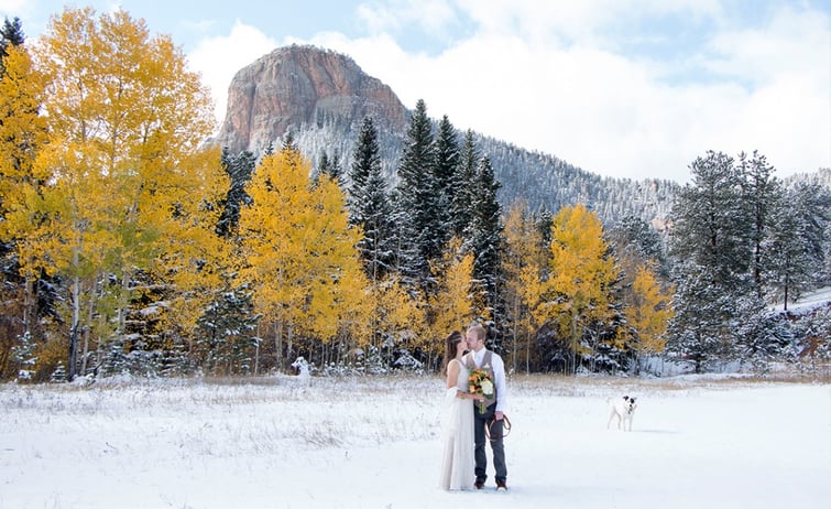 Pet-Friendly Weddings: Creative Ways to Include Your Furry Friends