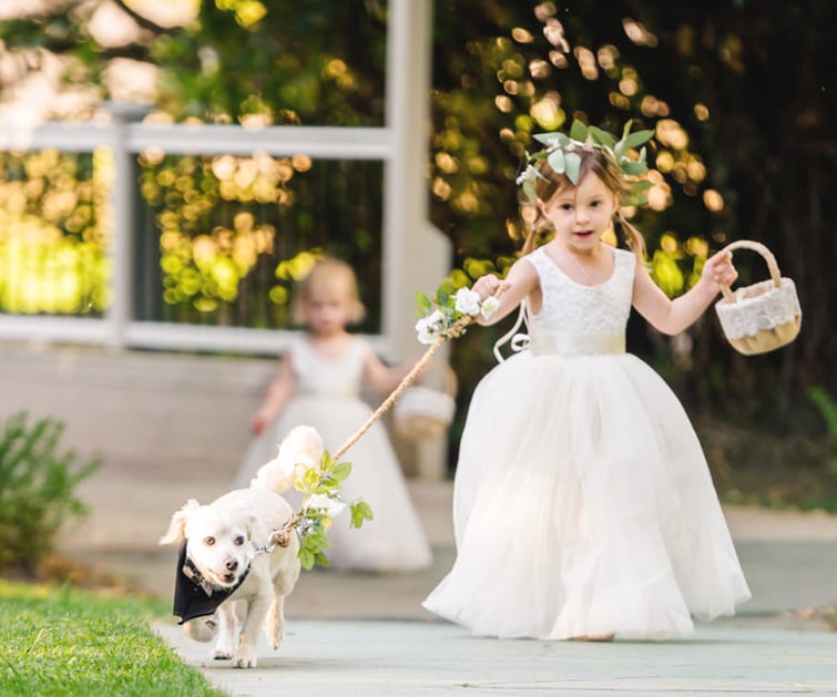 Pet-Friendly Weddings: Creative Ways to Include Your Furry Friends
