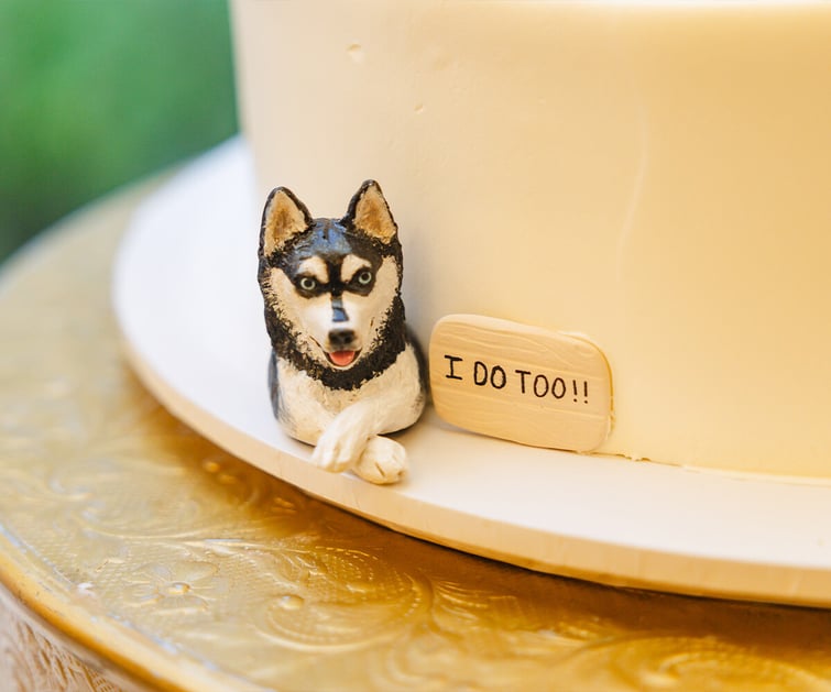 Pet-Friendly Weddings: Creative Ways to Include Your Furry Friends