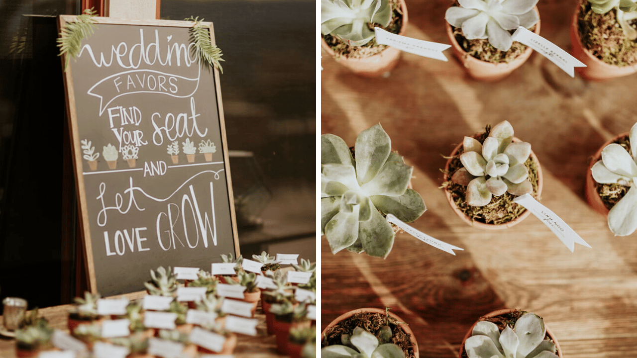 Stress-Free Wedding Planning: All-Inclusive Packages | Wedgewood Weddings