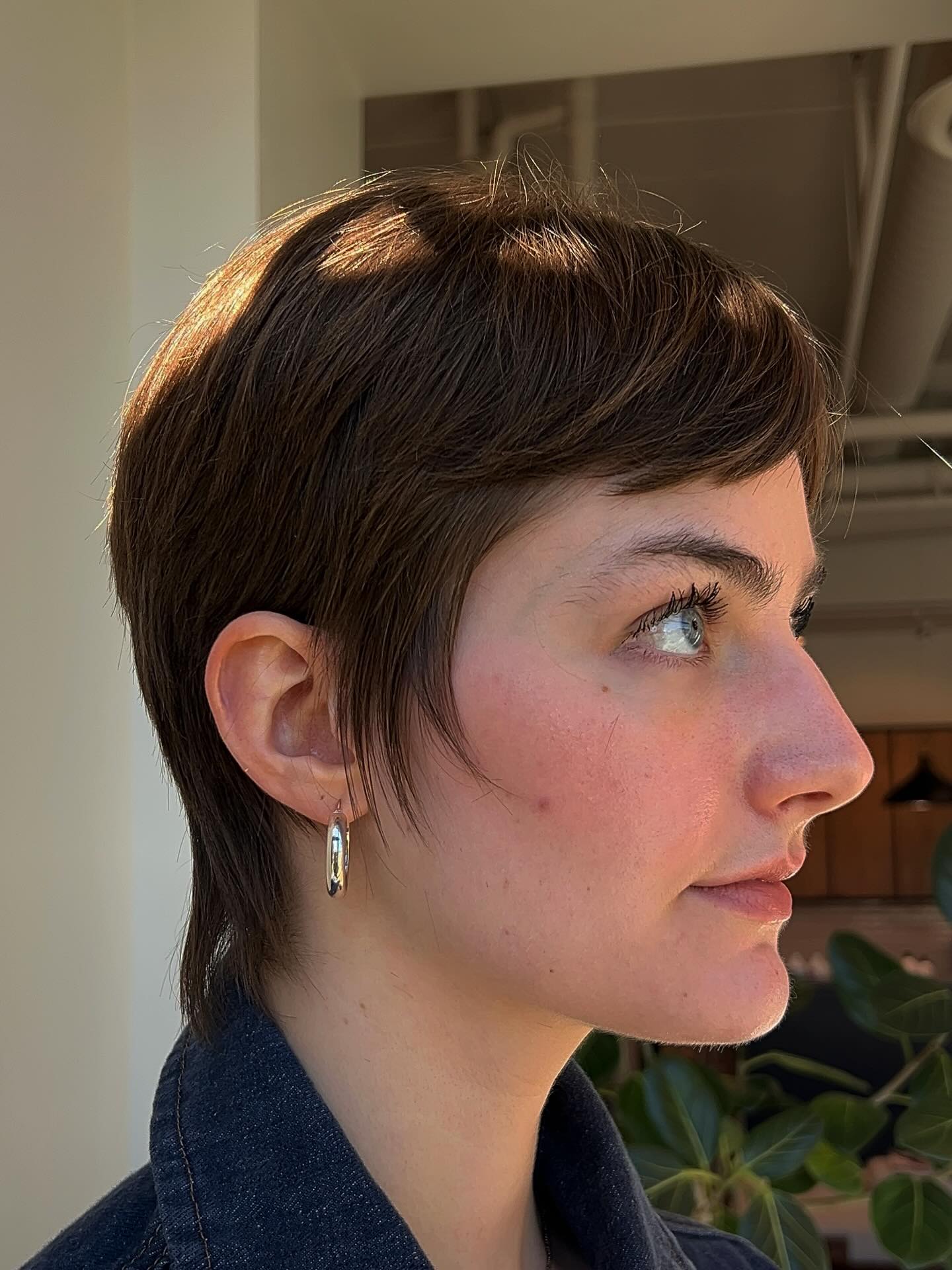 Audrey Hepburn Pixie Cuts: Styles & Trends for 2026