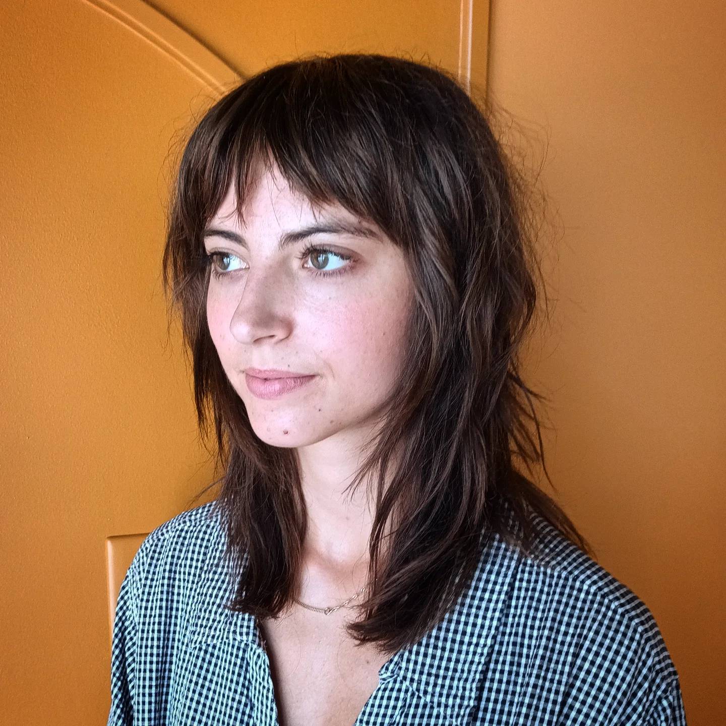 Soft Shag Haircuts for Mid-Length Hair: Styles & Layers