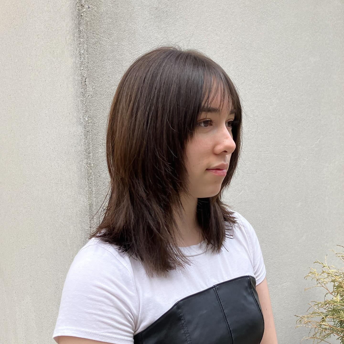 Shoulder-Length Layered Haircuts: Trends & Styling for 2026