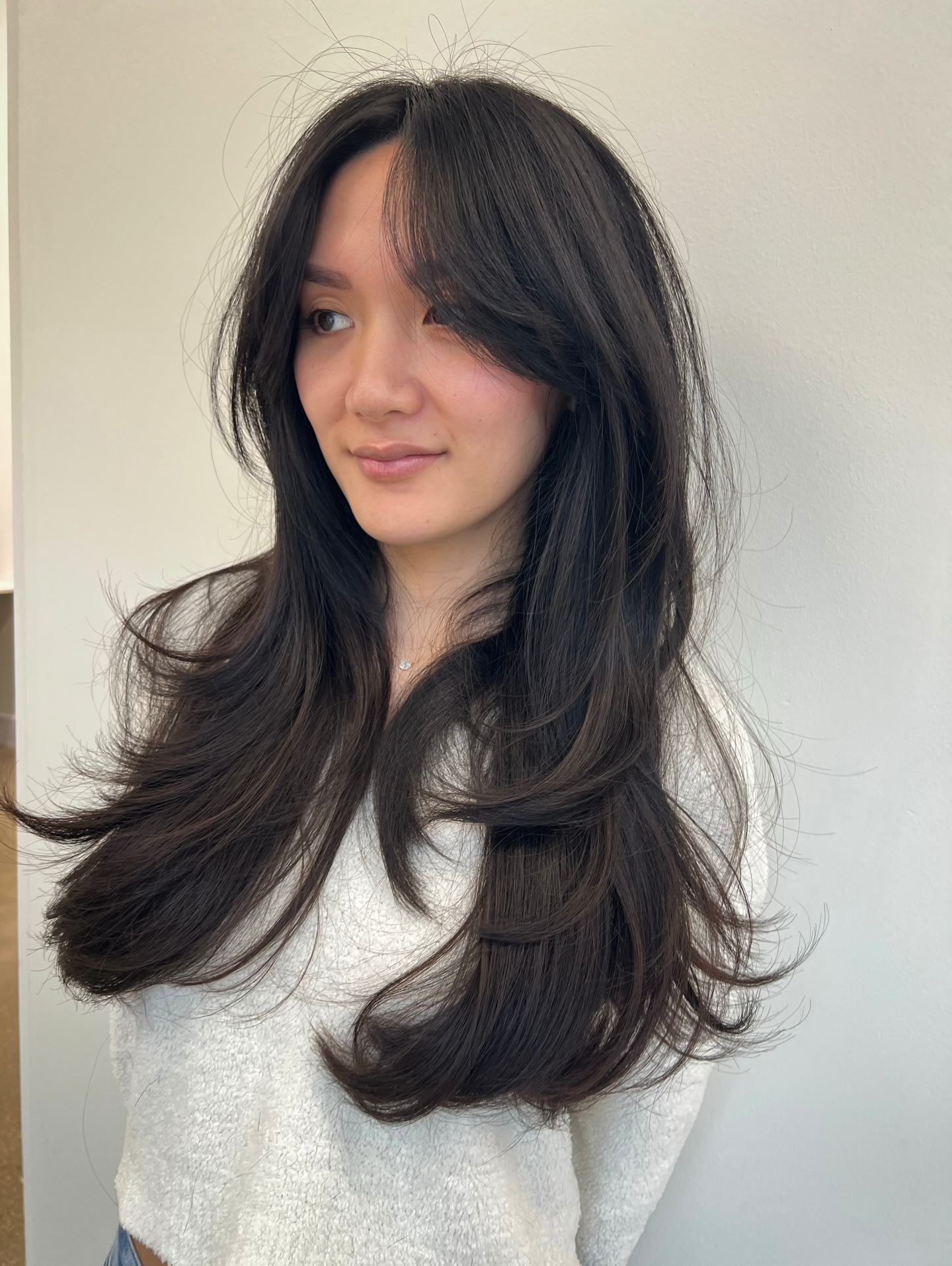 Long Wolf Cut Ideas for 2026: Styles That Actually Last